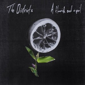 The Districts - A Flourish and a Spoil (Fat Possum)