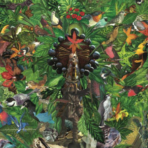 Plankton Wat – Drifter’s Temple (Thrill Jockey) Plankton Wat – Drifter’s Temple (Thrill Jockey)