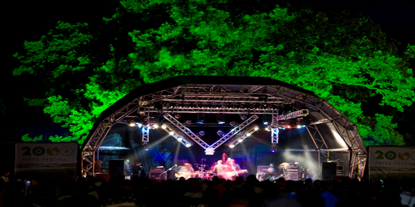 2000 Trees Festival 2011 2000 Trees Festival 2011