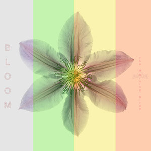 The Morning Birds: Bloom (Funky Island House Records)
