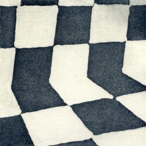 Ducktails – The Flower Lane (Domino) Ducktails – The Flower Lane (Domino)
