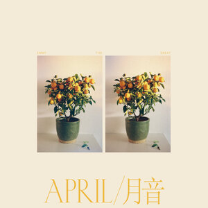 Emmy The Great: April / 月音 (Bella Union) Emmy The Great: April / 月音 (Bella Union)