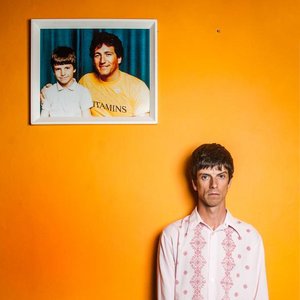 Euros Childs - Situation Comedy (National Elf)