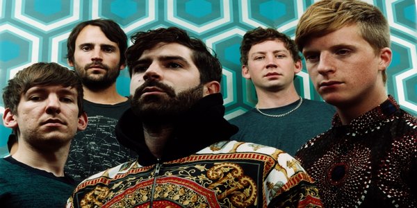 Foals