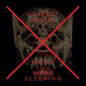 Grizzly Gato – While You Were Sleeping (Sub-Bombin Records)