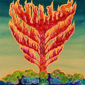 Hills - Frid (Rocket Recordings) Hills - Frid (Rocket Recordings)