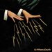 Le Volume Corbe: Planet Ping Pong (Duophonic Super 45s)