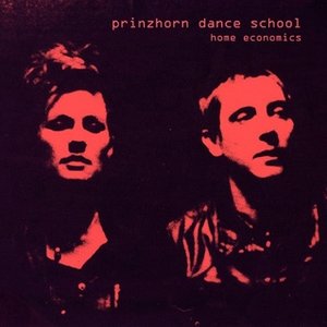 Prinzhorn Dance School: Home Economics (DFA Records) Prinzhorn Dance School: Home Economics (DFA Records)
