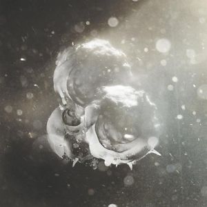 Richard J Birkin - Vigils (Reveal Records)