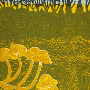 Rural Tapes: Rural Tapes (Smuggler Music) Rural Tapes: Rural Tapes (Smuggler Music)