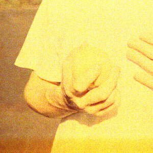 Stuffed Foxes: Standardized (Stolen Body Records) Stuffed Foxes: Standardized (Stolen Body Records)