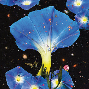 Sarah Louise: Nighttime Birds And Morning Stars (Thrill Jockey) Sarah Louise: Nighttime Birds And Morning Stars (Thrill Jockey)