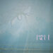 Taffy: lull (Club AC30)