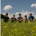 The Blueskies