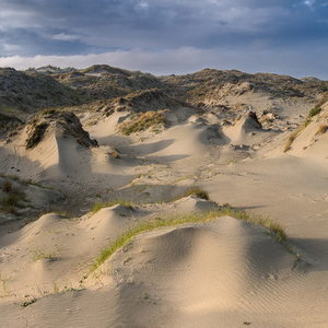 White Manna: Dune Worship (Holy Mountain) White Manna: Dune Worship (Holy Mountain)
