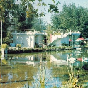 Ducktails - Ducktails III: Arcade Dynamics (Woodsist) Ducktails - Ducktails III: Arcade Dynamics (Woodsist)