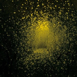 The Antlers - Burst Apart (Transgressive) The Antlers - Burst Apart (Transgressive)