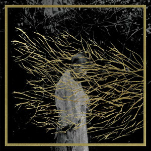 Forest Swords – Engravings (Tri Angle)