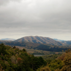 Dirty Projectors & Bjork - Mount Wittenburg Orca (Domino)