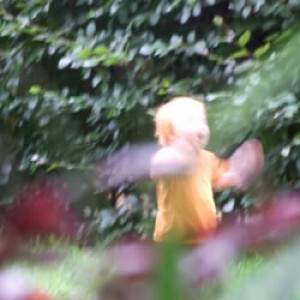 Harold Nono/Hidekazu Wakabayashi - Harold Nono/Hidekazu Wakabayashi (Bearsuit) Harold Nono/Hidekazu Wakabayashi - Harold Nono/Hidekazu Wakabayashi (Bearsuit)