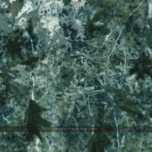 Voices From The Lake (feat. Donato Dozzy & Neel) - Voices From The Lake (Prologue) Voices From The Lake (feat. Donato Dozzy & Neel) - Voices From The Lake (Prologue)